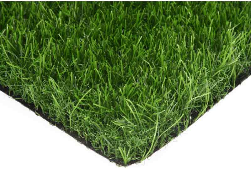 grassssss
